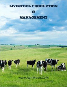 LIVESTOCK PRODUCTION1