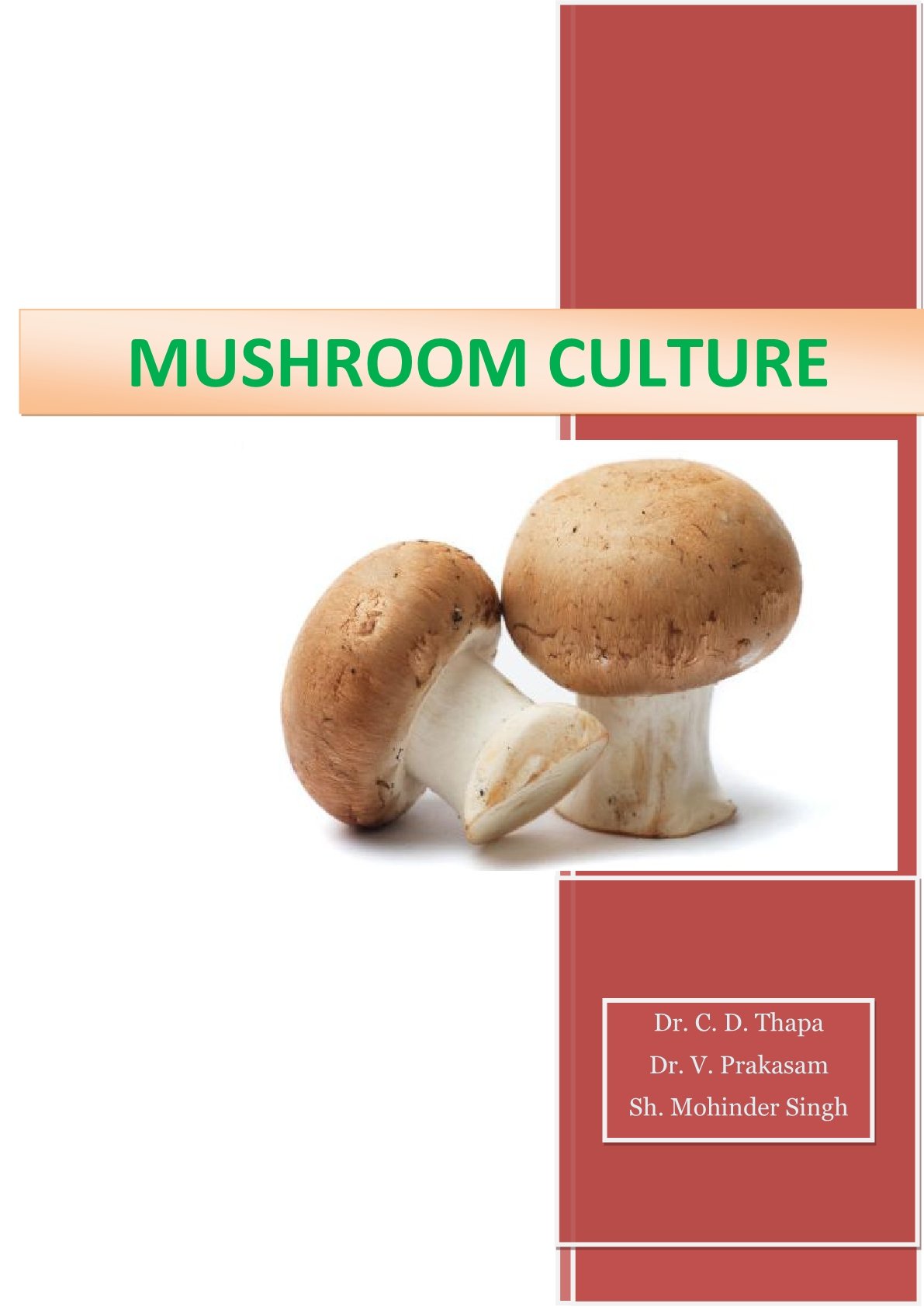 Mushroom cultivation in india pdf